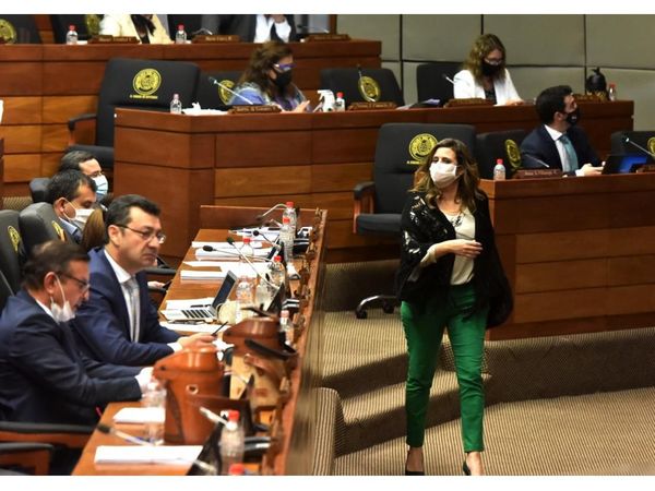Buscarán hoy destinar fondos de Itaipú y EBY para financiar salud