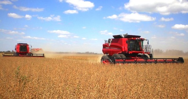 La Nación / Expectativa de producción presiona a la baja a la soja