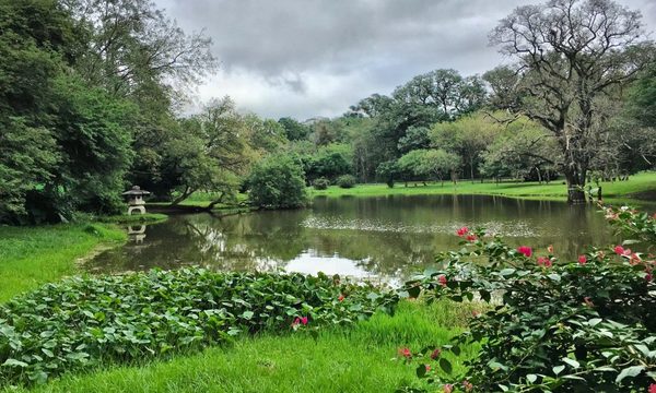 Jardín Botánico, bajo permanente amenaza