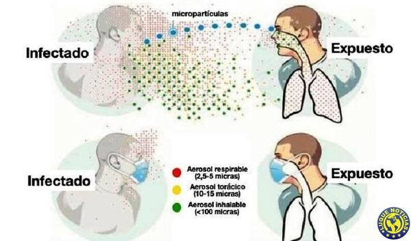 Covid-19: ¿Cómo se produce la transmisión vía aérea? •