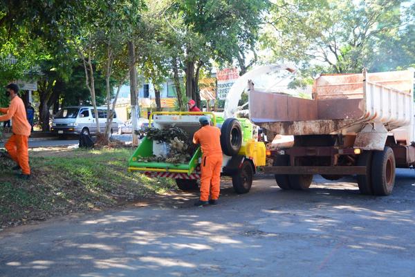 Activan servicio de procesamiento de ramas en CDE