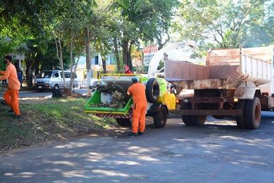 Emplean máquina trituradora para la temporada de poda de árboles - ABC en el Este - ABC Color
