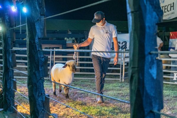 Hampshire completó una “exitosa” feria en la Expo Nacional con ventas de Ferusa