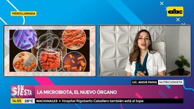 La microbiota, el nuevo órgano - Ensiestados - ABC Color