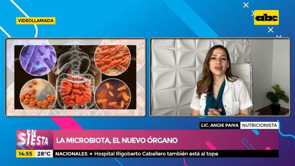 La microbiota, el nuevo órgano - Ensiestados - ABC Color