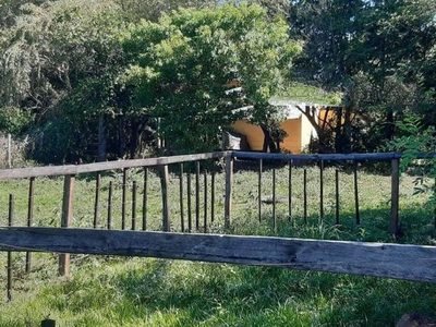 Detienen a supuestos responsables de la muerte de un ciclista en Villarrica | Ñanduti