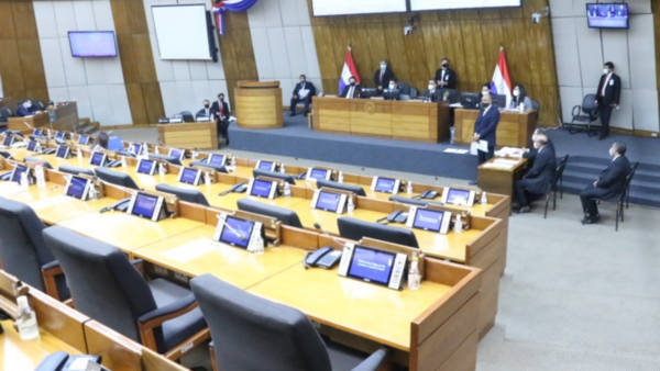 Diputados rechazan destinar fondos de binacionales a Salud | El Independiente