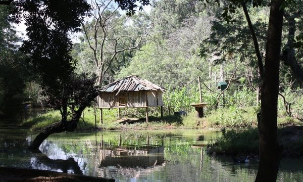 Jardín Botánico: PNUD recomienda ajustes en plan de manejo ambiental
