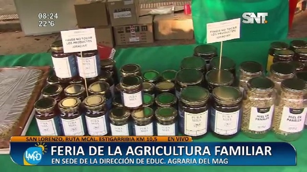 San Lorenzo: Feria de la agricultura familiar - SNT
