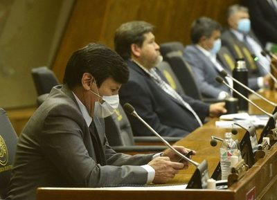 Diputados premian a transportistas a meses de las elecciones  - Nacionales - ABC Color