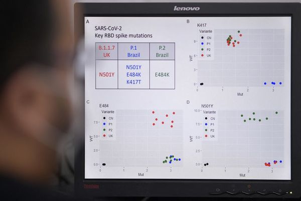 Lo que se sabe de la variante brasileña del coronavirus, la P1 - Mundo - ABC Color