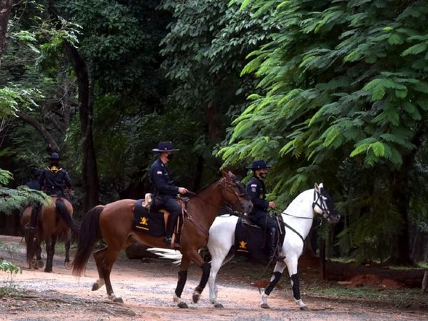 Piden datos sobre funcionamiento del Zoo