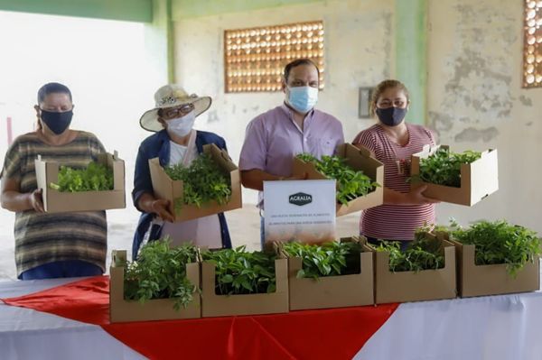 Ministro entrega plantines a participantes del proyecto "Mi Huerta" - Noticiero Paraguay