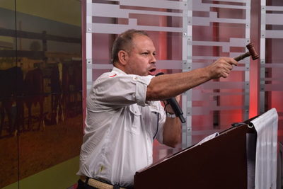 Feria de Entre Martillos reflejó “mucho interés” por machos y “más cautela” por hembras