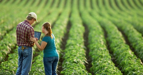 La Nación / Invita al sector agroganadero a participar de encuestas para la innovación