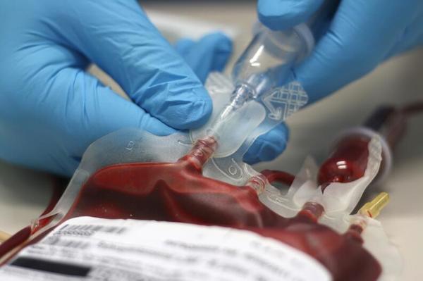 ¿Será posible? La tecnología que usa sangre joven para revertir el envejecimiento