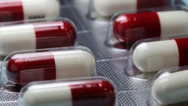 Precio de medicamentos en tiempo real: Cámara de Farmacias habilita buscador para regular el mercado interno