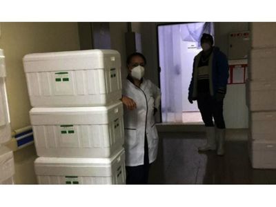Alto Paraná se sumó para exportar plasma     que volverá como fármaco
