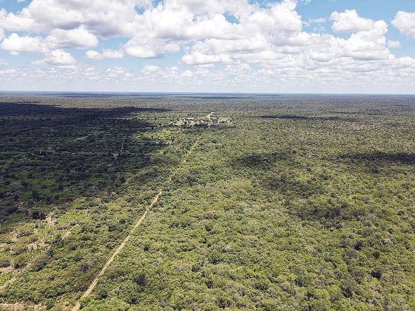 Narcoestancia  fue reactivada en el Chaco - Nacionales - ABC Color