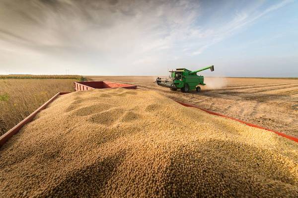 Mercado argentino abarca el 76% de las exportaciones de soja