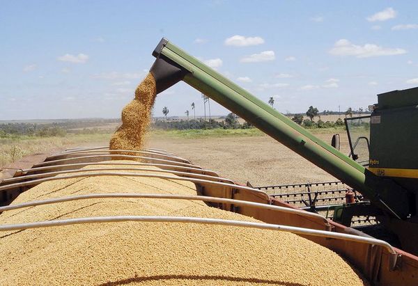 Asaltan y roban camión con más de 30 mil kilos de soja - Nacionales - ABC Color