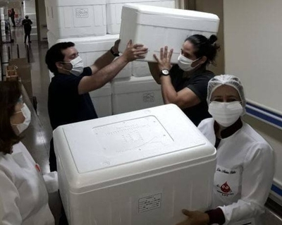 Diario HOY | Alto Paraná exportará por segunda vez plasma que retornarán como fármacos