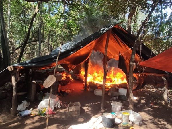 Antinarcóticos destruye cultivos de marihuana y campamentos