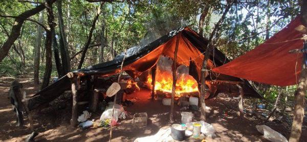 Destruyen cultivos de marihuana y campamentos en Amambay – Prensa 5