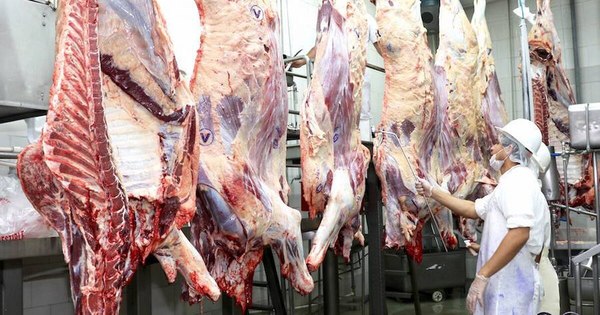 La Nación / Envíos de carne a Chile generaron ingresos por US$ 152 millones a marzo