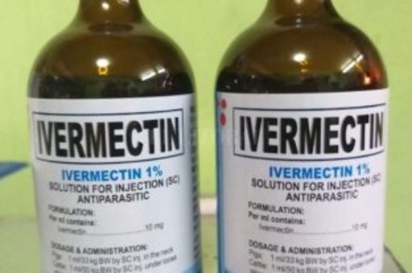 Doctor califica la ivermectina como un “prontosocorro” contra el COVID mientras no tengamos vacunas | Ñanduti