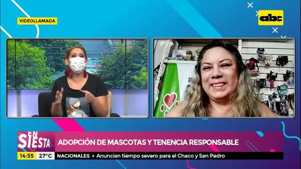 Adopción de mascotas y tenencia responsable - Ensiestados - ABC Color
