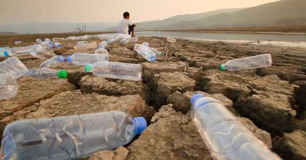 Menos del 3% de los ecosistemas terrestres del mundo permanecen sin intervención humana - SNT