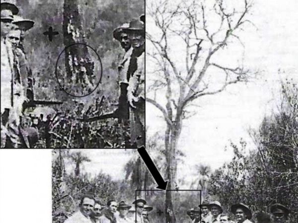 El árbol de kurupa’y y el fraude de la tumba del mariscal López