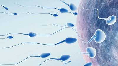 Covid-19 puede afectar negativamente a la fertilidad