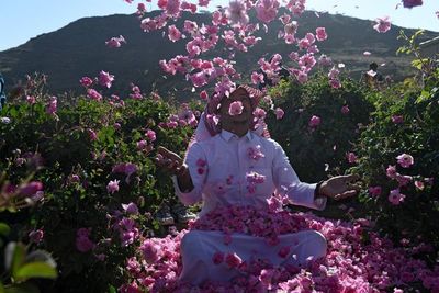 Taif, una ciudad repleta de rosas en medio del desierto saudita