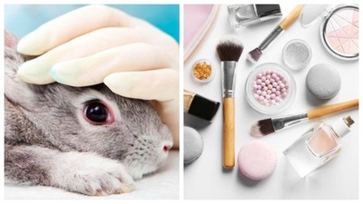 Descubre si tus productos son libres de crueldad animal