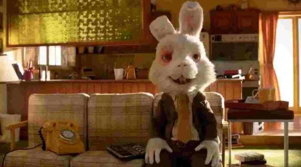 “Ralph”, conejo se hace viral y concientiza sobre la crueldad animal