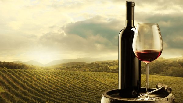 Día Mundial del Malbec: algunas cosas que no sabías sobre este vino | Ñanduti