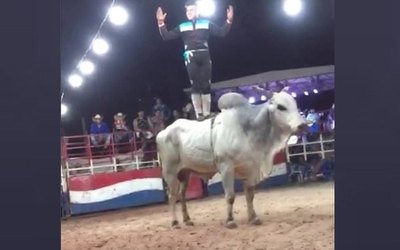 Crónica / Torero se refugia en el arte y el estudio
