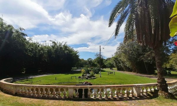 Jardines históricos del Botánico. Un siglo de esplendor y ruinas