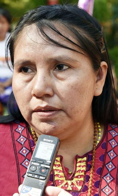 Fundación responde a supuesta amenaza por plantación de eucaliptos en Benjamín Aceval - Nacionales - ABC Color