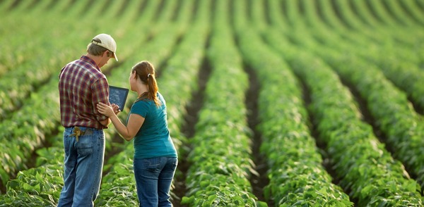 Invitan al sector agroganadero a participar de encuestas para incentivar la innovación