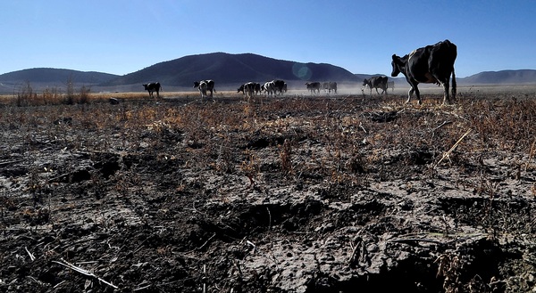 La sequía golpea al agro mexicano y anticipa una menor producción - MarketData