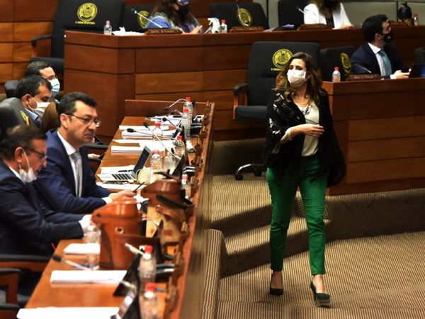 Covid-19: Diputados piden tratar proyecto para uso de fondos de binacionales