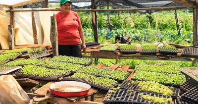 La Nación / Desarrollo Social desembolsará G. 9.000 millones para emprendimientos de Tenonderã