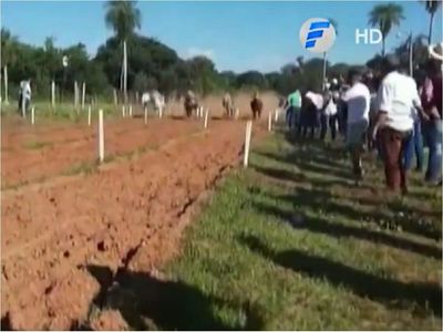 Concepción: Concurrida carrera de caballos en plena pandemia