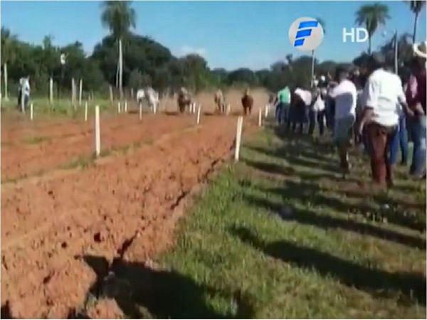 Concepción: Concurrida carrera de caballos en plena pandemia