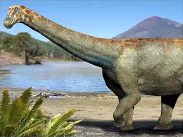 Chile descubre un dinosaurio del desierto de Atacama