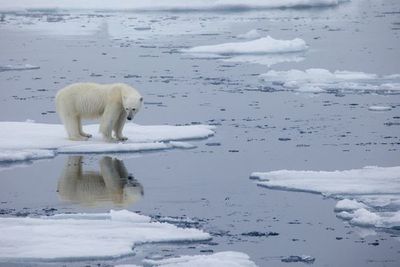 El tiempo acucia para acometer contra cambio climático, advierte ONU - Mundo - ABC Color