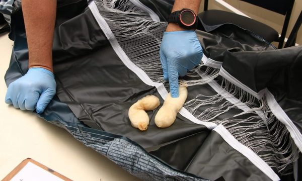 Senad detectó cocaína que tenían por destinos Hong Kong, Australia e Irlanda